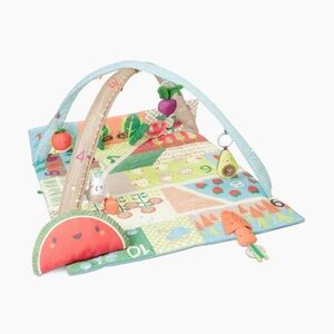 Skip Hop Farmstand Play Gym